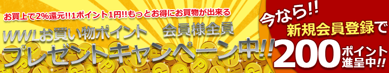 ポイント開始